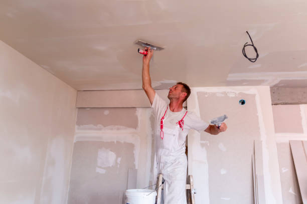 Best Residential Painting  in Stonegate, CO